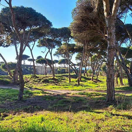 Sea Wave Sounds, Meco, By The Beach Sesimbra Exteriör bild